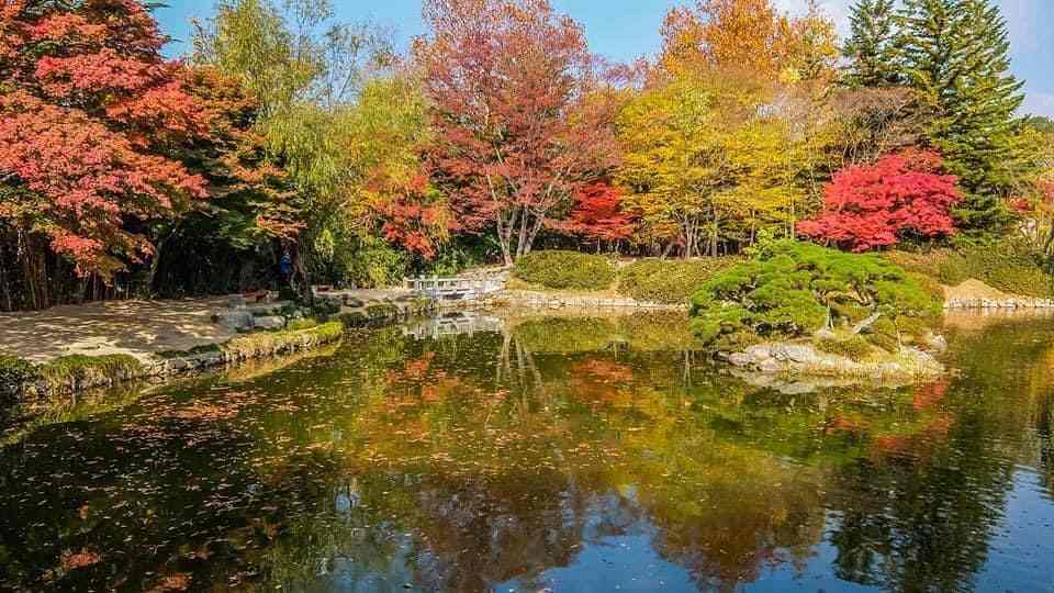 Güney Kore park